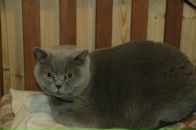 Фотография Тихоновой Елены