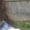 Свєта Корінь фотография #26 (источник - https://vk.com/id65832155)