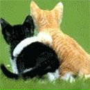 Андрій Новіцький фотография #2 (источник - https://vk.com/id89926951)