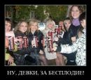 Фотография Никулина Михаила
