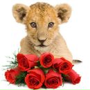 Юлианка Кулагіна фотография #44 (источник - https://vk.com/id249115050)