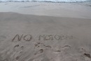 Софья Костицына фотография #15 (источник - https://vk.com/id2841874)
