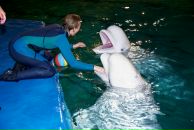 Фотография Шевцовой Дарьи