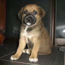 Фотография Баклыковой Юлии