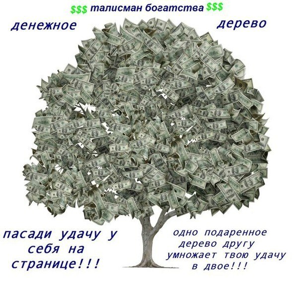 №19, Юлия Костина №19, Юлия Костина