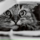 Фотография Петровой Юли