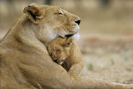 Фотография Цоклан Марины