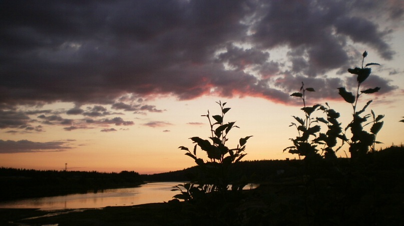 Саша Шляхов фотография #6