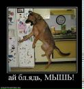Юрий Долгорукий фотография #38 (источник - https://vk.com/id314403292)