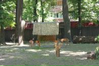 Таня Ліщук фотография #47 (источник - https://vk.com/id22416115)