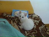 Владік Кондратчук фотография #3 (источник - https://vk.com/id135855977)