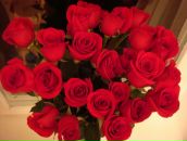 Фотография Блиновой Галины