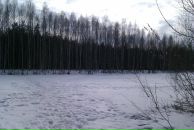 Фотография С Светланы