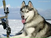 Оля Пісоцька фотография #26 (источник - https://vk.com/id16286564)