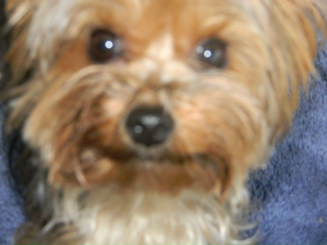 Вован Sid фотография #30