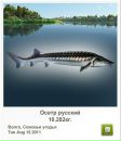 Вадім Горковенко фотография #29 (источник - https://vk.com/id132061658)