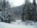 Ліля Гойванович фотография #45 (источник - https://vk.com/id157756311)