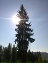 Сергій Захарчук фотография #38 (источник - https://vk.com/id139703039)