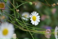 Ігор Забора фотография #45 (источник - https://vk.com/id4502120)