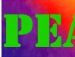 Міша Фаль фотография #22 (источник - https://vk.com/id102410775)