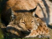 Фотография Титовой Юлии