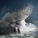 Фотография Счастливова Андрея