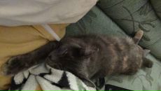 Фотография Новиковой Ирины