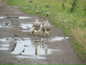 Фотография Мирсаитовой Регины