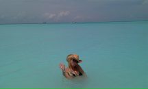 Анна Урусова фотография #40 (источник - https://vk.com/id722941)