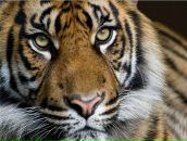 Фотография Севостьянова Данила