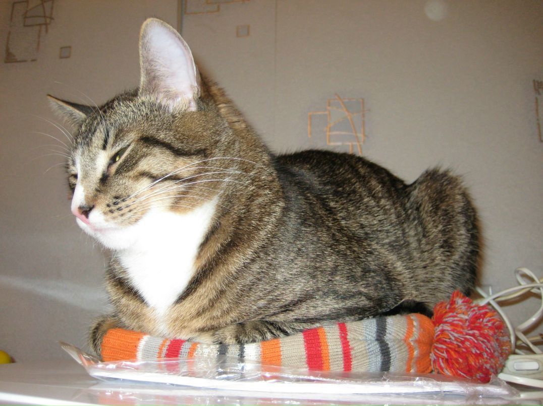 Denis Mityaev фотография #49