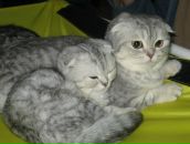 Фотография Фроловой Марии