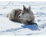 Фотография Пинчук Людмилы