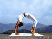 Фотография Фомичев Василий