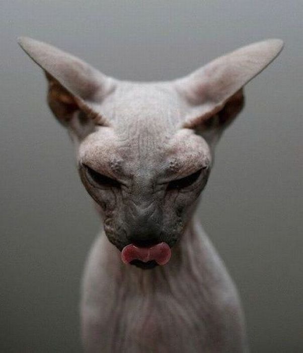 Григорий Савельев фотография #48