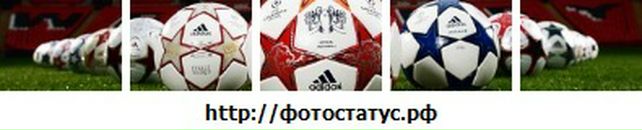 Дмитрий Мартынов фотография #41 (источник - https://vk.com/id8391610)