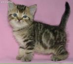 Анна Анновна фотография #9 (источник - https://vk.com/id654120)