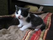 Іван Андрухів фотография #49 (источник - https://vk.com/id9913867)