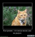 Дмитрий Лашко фотография #45 (источник - https://vk.com/id5400693)