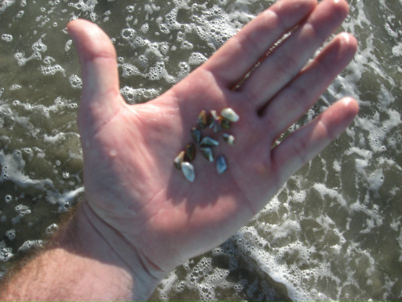 Ursa Major фото №7