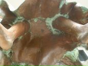 Фотография Валькова Александра