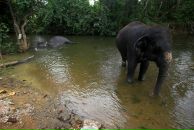 Даша Дашина фотография #24 (источник - https://vk.com/id2891457)