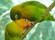 Фотография Ворожцовой Елены