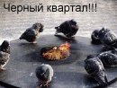 Ефим Мартышкин фотография #9 (источник - https://vk.com/id4813599)