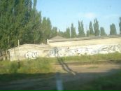 Дима Бродяга фотография #17 (источник - https://vk.com/id2209219)