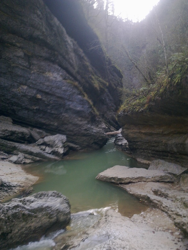 Дмитрий Ковалёв фотография #33