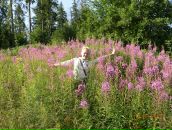 Оксана Ірисова фотография #36 (источник - https://vk.com/id16234626)