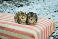 Фотография Егоровой Евгении