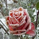 Юлія Ганжа фотография #33 (источник - https://vk.com/id168453202)