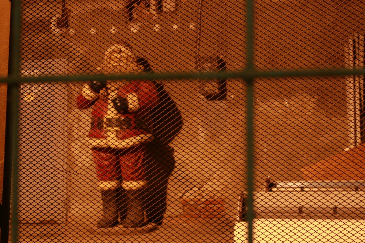 Катя Мищенко фотография #24